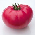 КС 3811 F1 (KS 3811 F1) насіння томату індет. рож. (Kitano Seeds)
