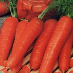 Лакомка семян моркови Флакке средней 80-104 дн.15-20 см (Империя Семена)