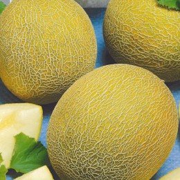 Леся насіння дині Seedera)