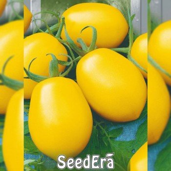 Лимон-Лиана семена помидора индетерминантного (Seedera) Лимон-Лиана семена помидора индетерминантного (Seedera)