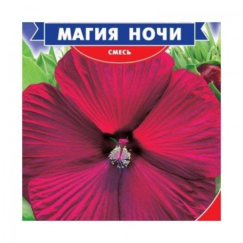 Магия ночи семян гибискуса (GL Seeds)