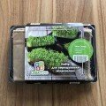Мікс Смака набір для вирощування мікрозелені (World of Seeds)