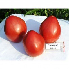 Орлиный клюв семян помидора индетерминантного (GL Seeds)
