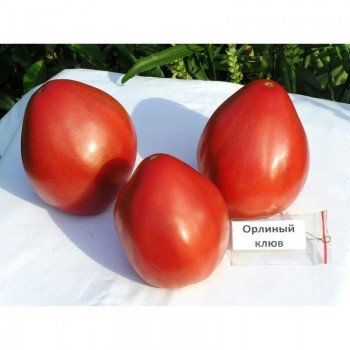 Орлиный клюв семян помидора индетерминантного (GL Seeds)