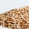 Овес семена микрозеленые (Agrocity)