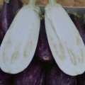 Ріко F1 насіння баклажана раннього (Lark Seed)
