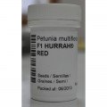 Селебрити F1 красная (red) семена петунии мультифлора (Benary)