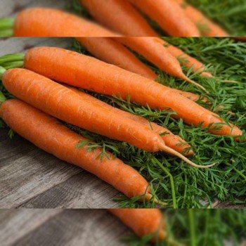 Вкус детства семян моркови