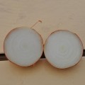 ЕС 1104 F1 семена лука репчатого желтого (LibraSeeds)