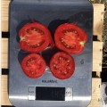 9969 F1 семена детерминантного томата (Lark Seeds)