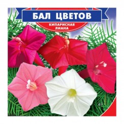 Балл цветов семян квамоклита (GL Seeds)
