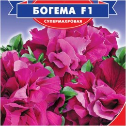 Богема F1 насіння петунії (GL Seeds)