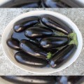 Честер F1 (ES Chester F1) семян баклажана раннего (Ergon seeds)