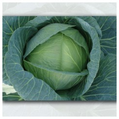 ЄС 1213 F1 насіння капусти білокачанної (LibraSeeds)