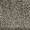 Фенхель семена микрозеленые (Agrocity)