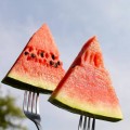 Маракеш F1 семян арбуза позднего (Ergon seeds)