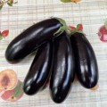 Милая F1 семена баклажана раннего (Lark Seeds)