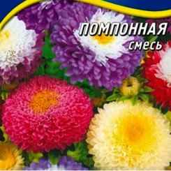 Помпонная смесь (mix) семян астры (Гелиос)