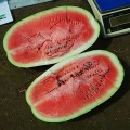 Ромина F1 семян арбуза среднего (Cora Seeds)