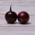 Рубиред F1 семена лука репчатого красного (Lucky Seed)