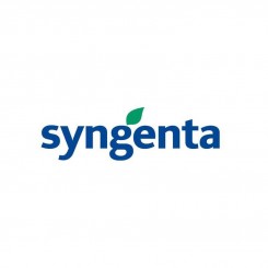 СЕТ М протравитель (Syngenta)
