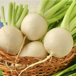 Сноубол семян репы (Satimex)