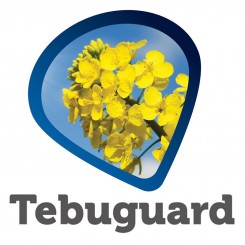 Фунгицид Тебугвард – BELCHIM