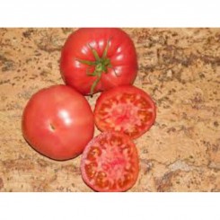 Томатний король насіння помідора індетермінантного (GL Seeds)