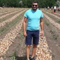 Венера F1 насіння цибулі ріпчастої озимої (LibraSeeds)