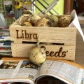 Венера F1 насіння цибулі ріпчастої озимої (LibraSeeds)