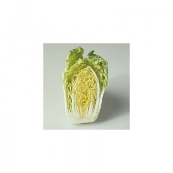 Вите F1 семена капусты пекинской (Hazera)