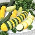 Анаконда суміш 4х сортів насіння кабачка (Геліос)