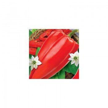 Бивень насіння перцю солодкого (GL Seeds)