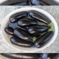 Честер F1 (ES Chester F1) насіння баклажану раннього (Ergon seeds)