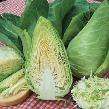 Експрес насіння капусти білокачанної (Hortus)