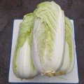 Индекс F1 семян капусты пекинской (Lark Seeds)