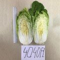 JS 4040 F1 (калібр.) насіння капусти пекінської (Joeun Seeds)
