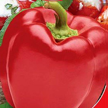 Красный Сыр перца сладкого (GL Seeds)