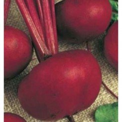 Кросби семян свеклы столовой (GL Seeds)