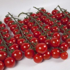 Итиро F1 (КС 4559 F1) семена помидора черри индетерминантные (Kitano Seeds)