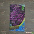 Лобелия розовые семена (Moravoseed)