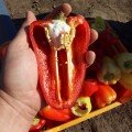 Лостун F1 насіння перцю солодкого (LibraSeeds)