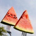 Маракеш F1 насіння кавуна пізнього (Ergon seeds)