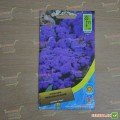Агератум Мексиканский фиолетовый (purple) семена (Moravoseed)