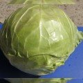 Рапидион F1 семена капусты белокочанной (Seminis)