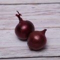 Рубіред F1 насіння цибулі ріпчастої червоної (Lucky Seed)
