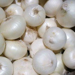 Серебряный месяц семена лука репчатого белого (GL Seeds)