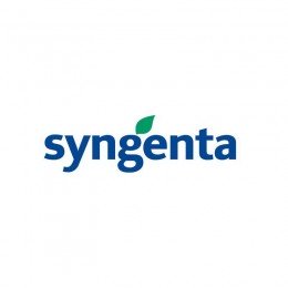 СЕТ М протруйник (Syngenta)