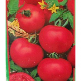 Світанок насіння помідора детермінантного (GL Seeds)