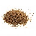 Аппетитные семена тмина (GL Seeds)